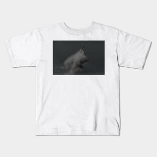 F-22 Raptor Kids T-Shirt